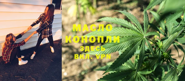 дмт Алексин