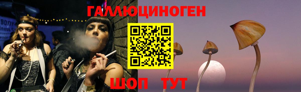 Галлюциногенные грибы Magic Shrooms  Вход с VPN  Урюпинск  Галлюциногенные грибы GOLDEN TEACHER 