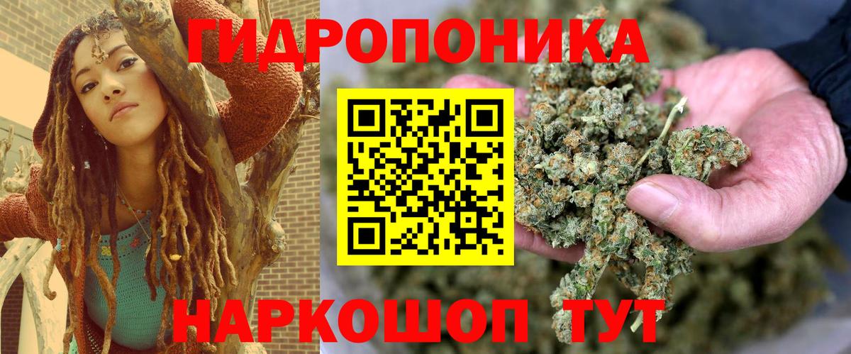 Шишки марихуана тримм  Шишки марихуана THC 21%  Бошки Шишки ГИДРОПОН  МАРИХУАНА Amnesia  Вход с VPN  Урюпинск 